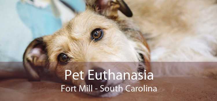Pet Euthanasia Fort Mill - South Carolina