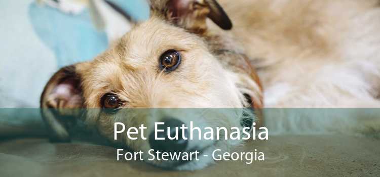 Pet Euthanasia Fort Stewart - Georgia