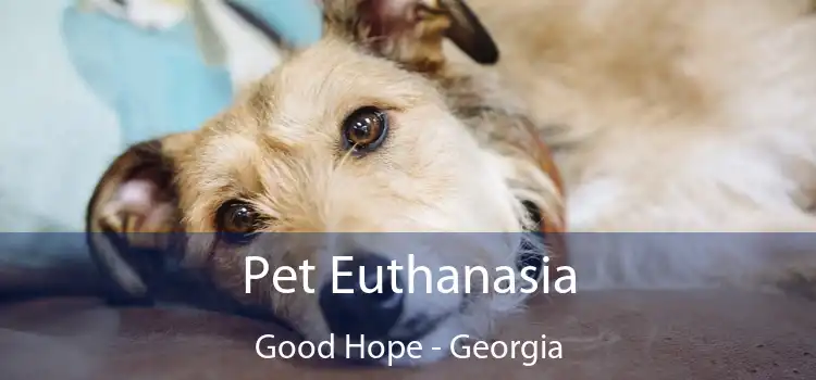 Pet Euthanasia Good Hope - Georgia