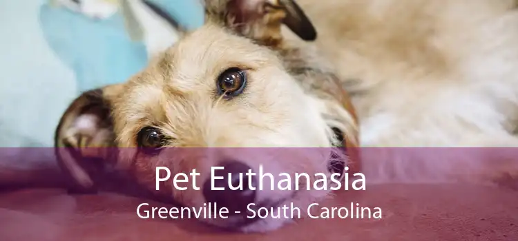 Pet Euthanasia Greenville - South Carolina