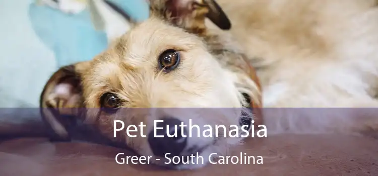 Pet Euthanasia Greer - South Carolina