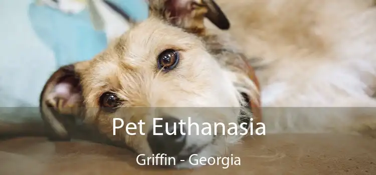 Pet Euthanasia Griffin - Georgia