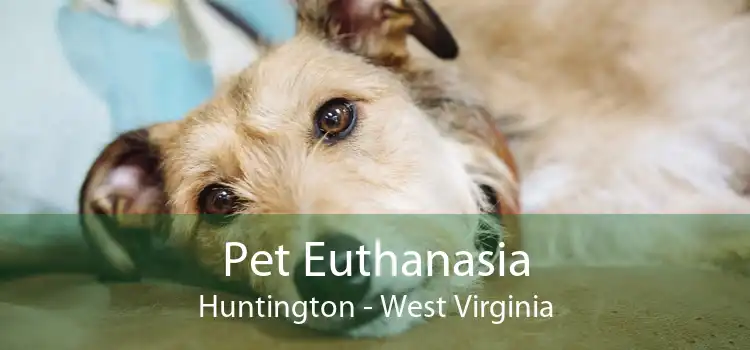 Pet Euthanasia Huntington - West Virginia