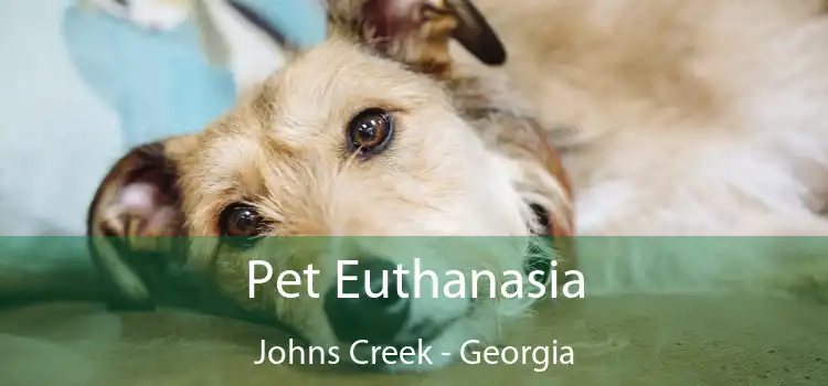 Pet Euthanasia Johns Creek - Georgia