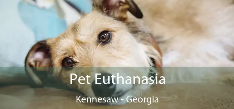 Pet Euthanasia Kennesaw - Georgia