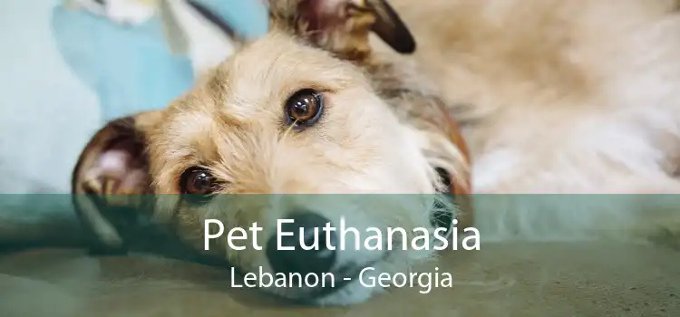 Pet Euthanasia Lebanon - Georgia
