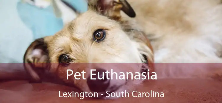 Pet Euthanasia Lexington - South Carolina