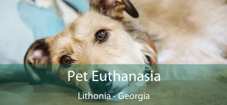 Pet Euthanasia Lithonia - Georgia