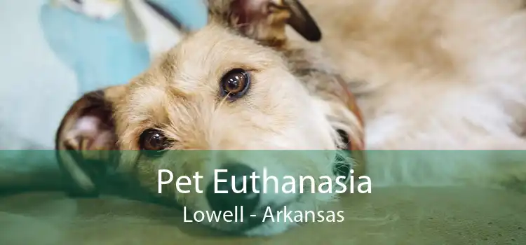 Pet Euthanasia Lowell - Arkansas