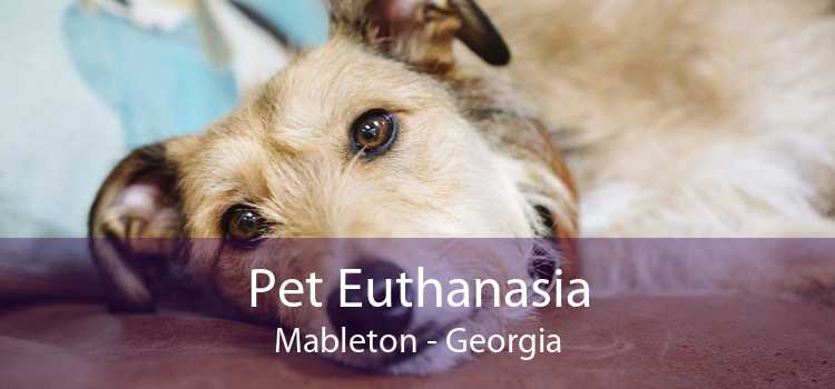 Pet Euthanasia Mableton - Georgia