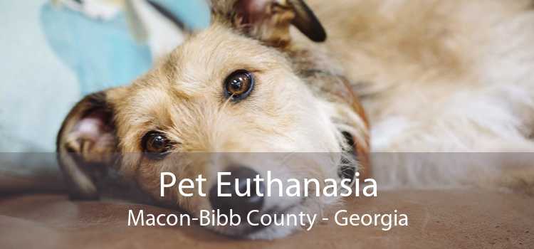 Pet Euthanasia Macon-Bibb County - Georgia