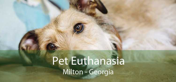 Pet Euthanasia Milton - Georgia