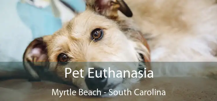 Pet Euthanasia Myrtle Beach - South Carolina