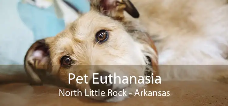 Pet Euthanasia North Little Rock - Arkansas