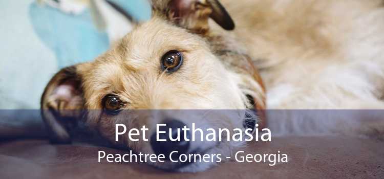 Pet Euthanasia Peachtree Corners - Georgia