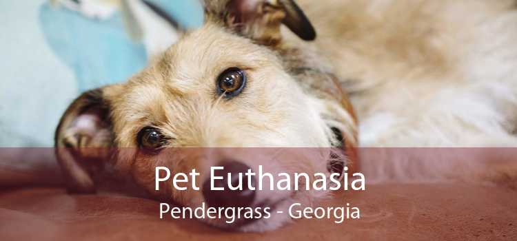 Pet Euthanasia Pendergrass - Georgia