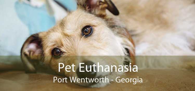 Pet Euthanasia Port Wentworth - Georgia
