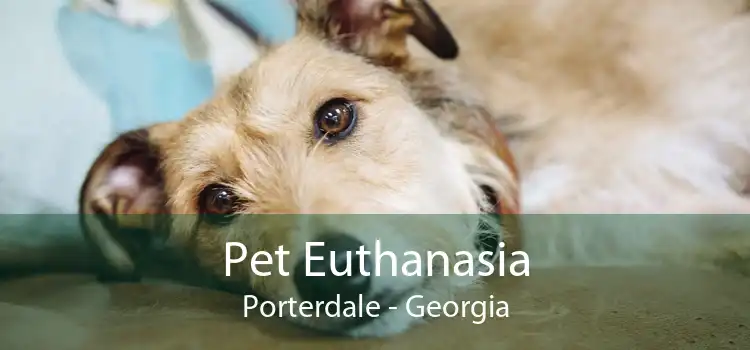 Pet Euthanasia Porterdale - Georgia