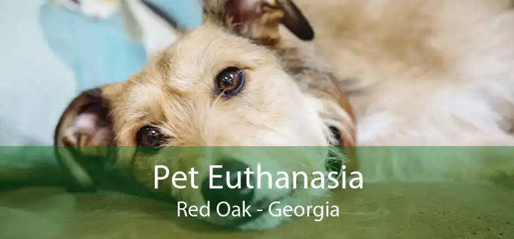Pet Euthanasia Red Oak - Georgia