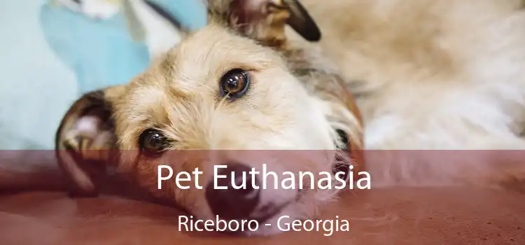 Pet Euthanasia Riceboro - Georgia