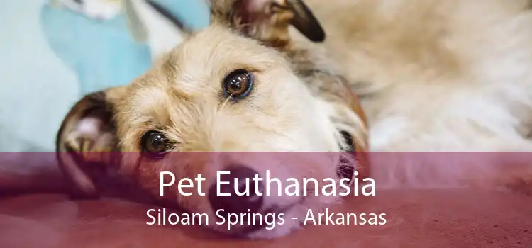 Pet Euthanasia Siloam Springs - Arkansas