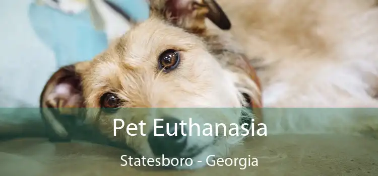 Pet Euthanasia Statesboro - Georgia