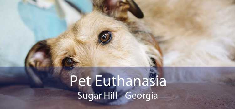 Pet Euthanasia Sugar Hill - Georgia