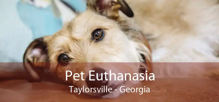 Pet Euthanasia Taylorsville - Georgia