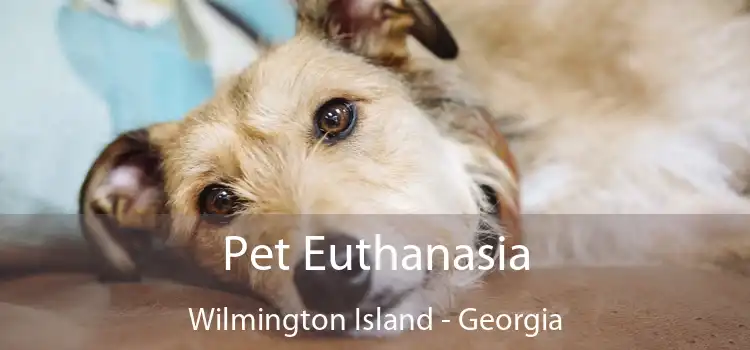 Pet Euthanasia Wilmington Island - Georgia