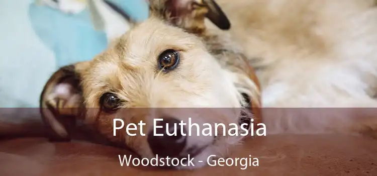 Pet Euthanasia Woodstock - Georgia