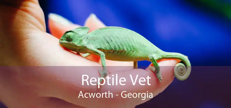 Reptile Vet Acworth - Georgia