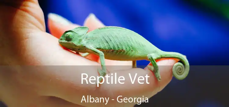 Reptile Vet Albany - Georgia