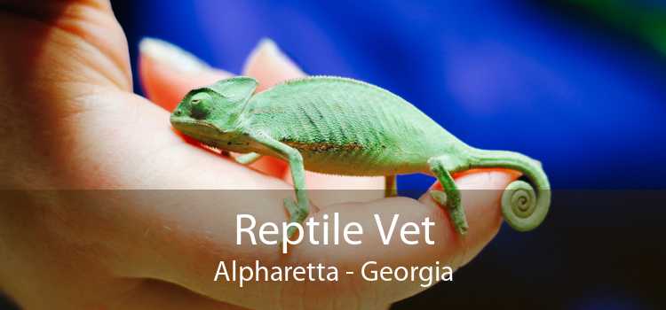Reptile Vet Alpharetta - Georgia