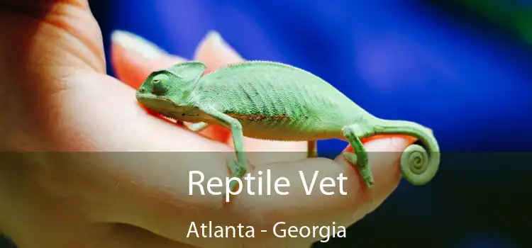 Reptile Vet Atlanta - Georgia