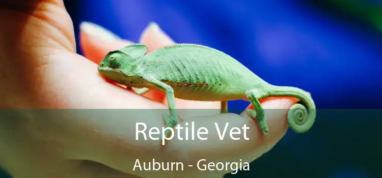 Reptile Vet Auburn - Georgia