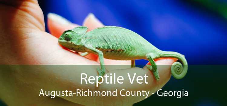 Reptile Vet Augusta-Richmond County - Georgia