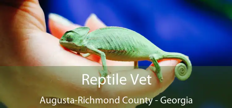 Reptile Vet Augusta-Richmond County - Georgia