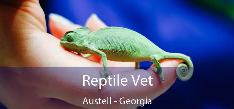 Reptile Vet Austell - Georgia