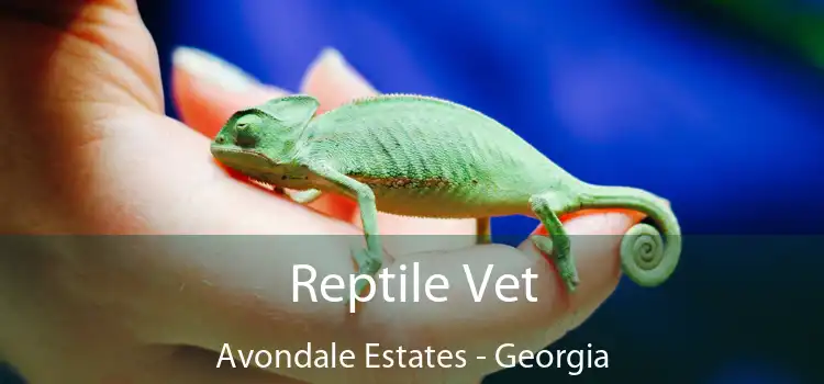 Reptile Vet Avondale Estates - Georgia