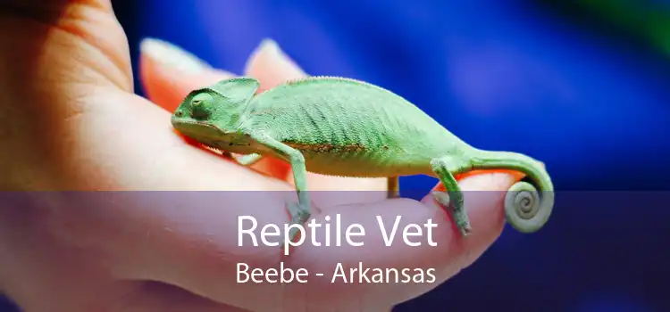 Reptile Vet Beebe - Arkansas
