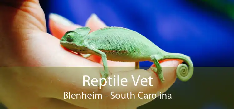 Reptile Vet Blenheim - South Carolina