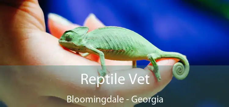 Reptile Vet Bloomingdale - Georgia