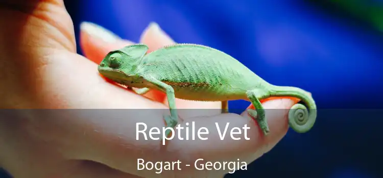 Reptile Vet Bogart - Georgia