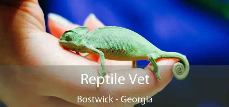 Reptile Vet Bostwick - Georgia