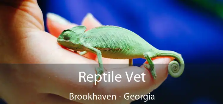 Reptile Vet Brookhaven - Georgia