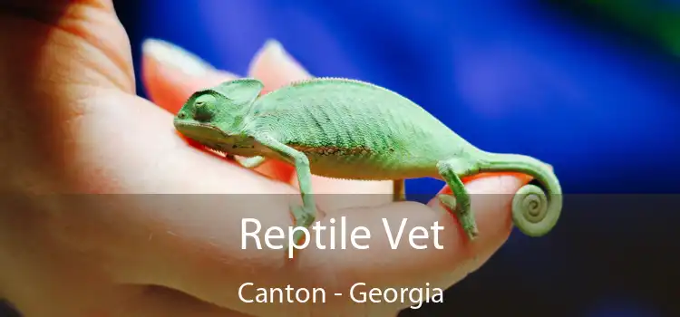 Reptile Vet Canton - Georgia