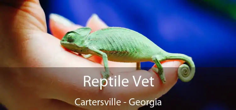 Reptile Vet Cartersville - Georgia