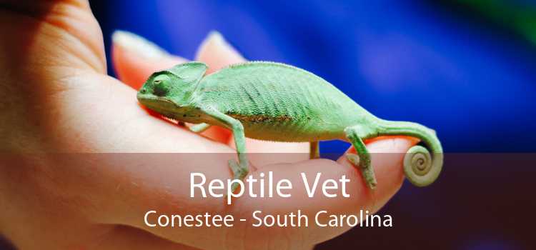 Reptile Vet Conestee - South Carolina