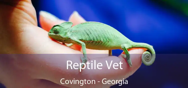 Reptile Vet Covington - Georgia