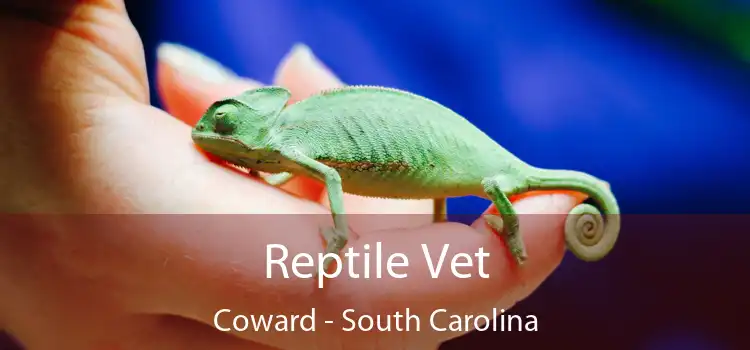 Reptile Vet Coward - South Carolina